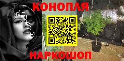 СК Абакан