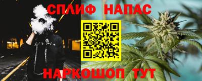 СК Абакан