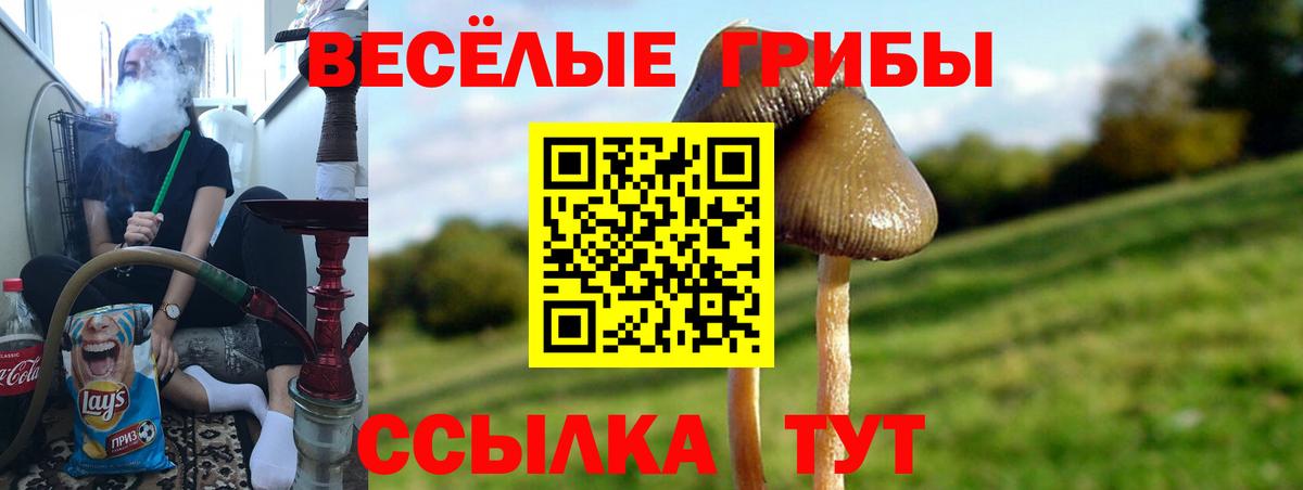 Псилоцибиновые грибы MAGIC MUSHROOMS Асбест