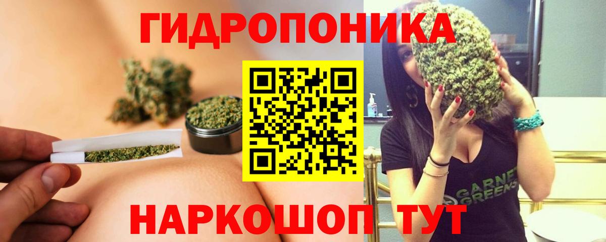 Бошки марихуана планчик  Вход с VPN  Асбест  Каннабис марихуана  Марихуана планчик 